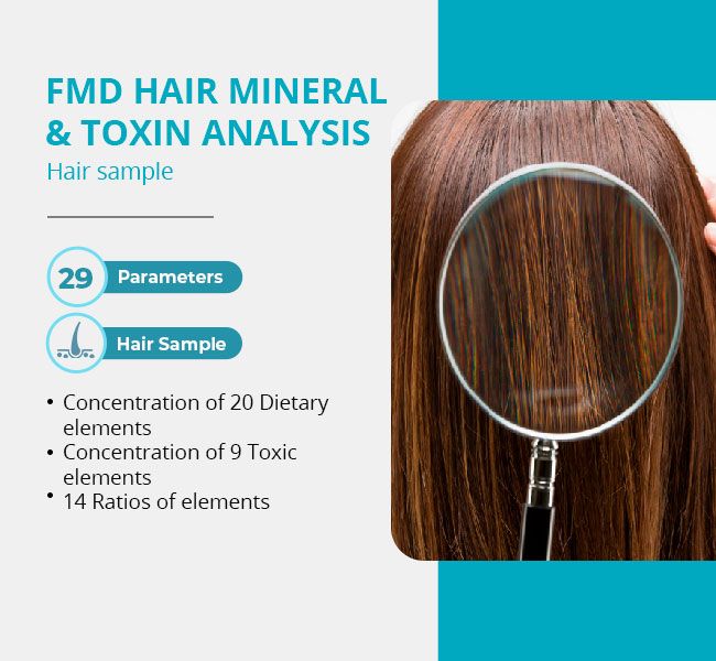 Hair Mineral & Toxin Analysis (HMT) – FMD