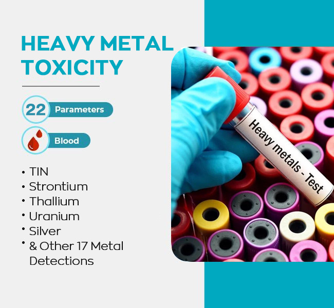 Heavy Metal Toxicity Test - Bangkok - IntelliHealth+