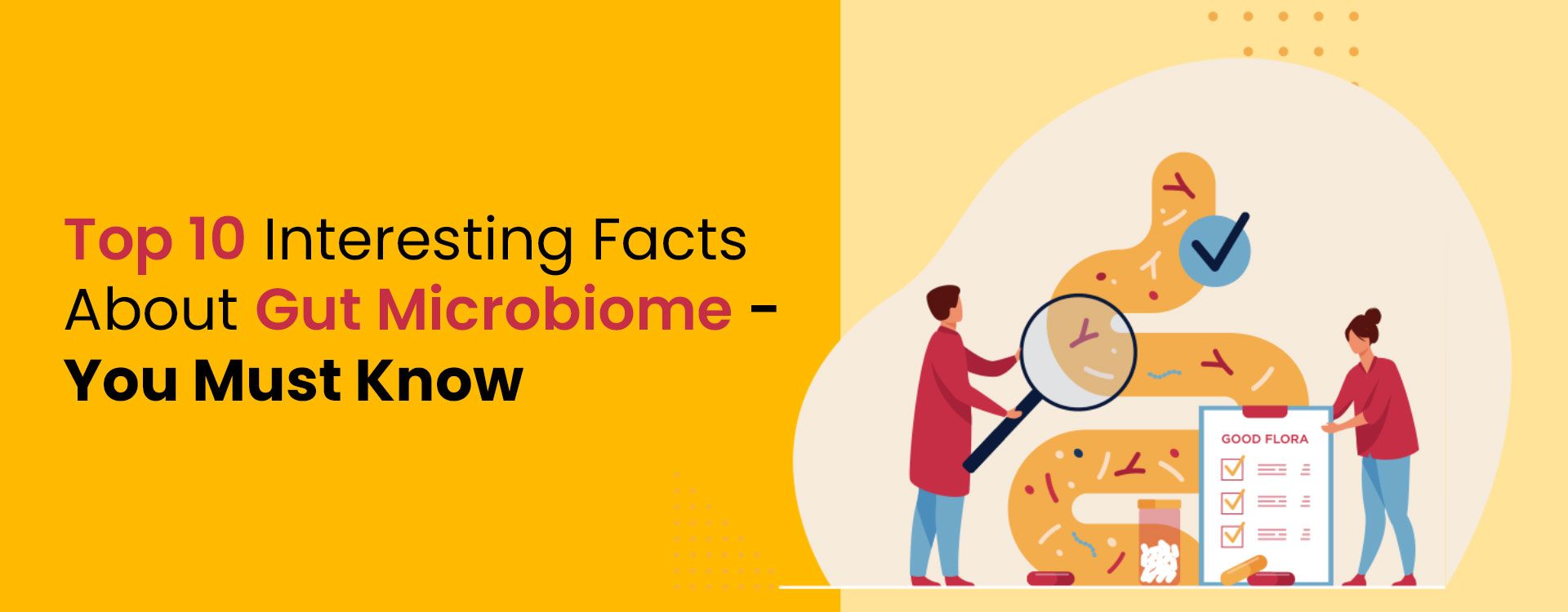 The 10 Interesting Facts About Gut Microbiome – You Must Know